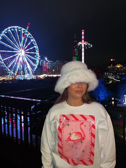 Candy Cane Flamingo Jumper