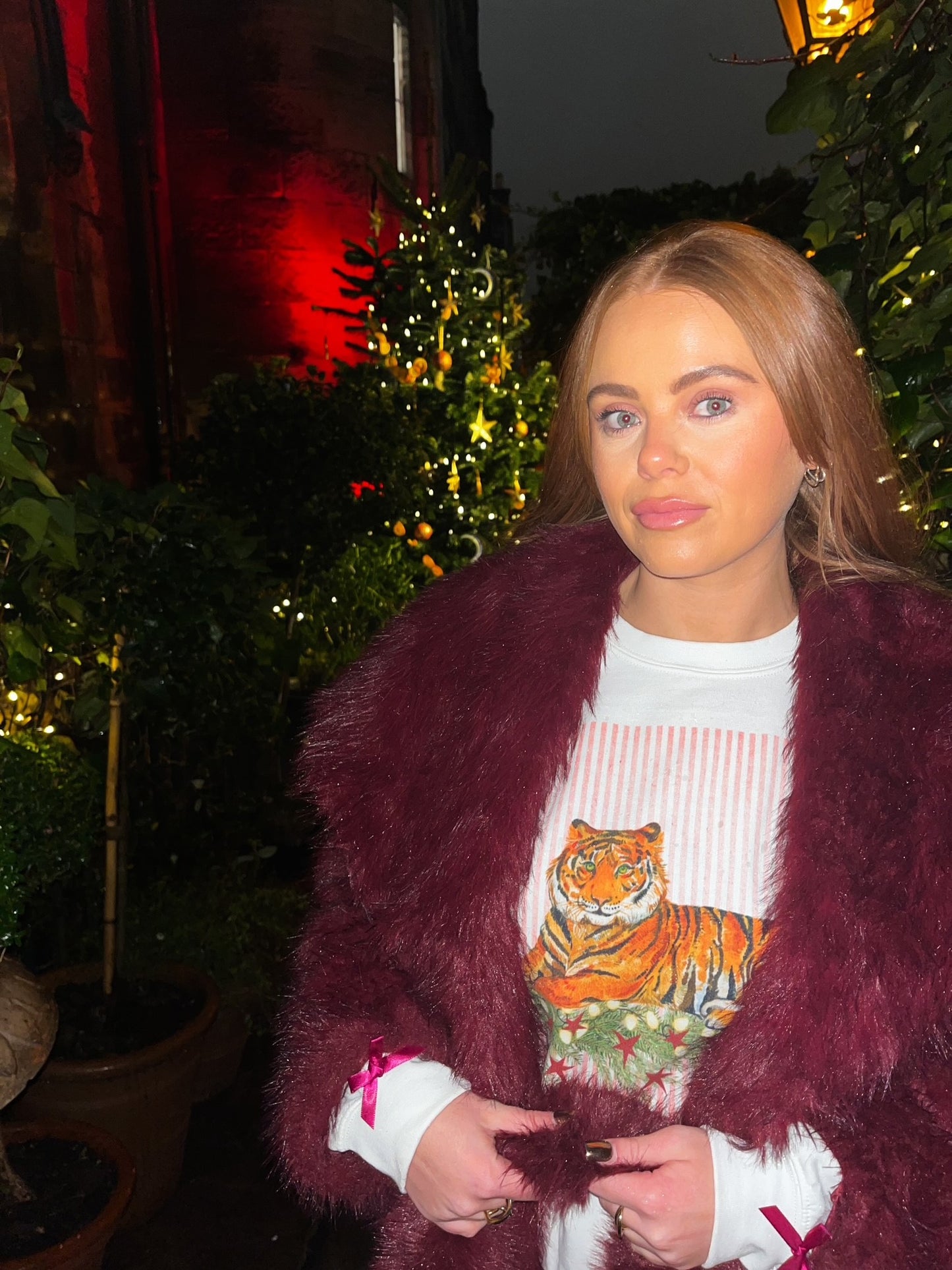 Festive Tiger Jumper