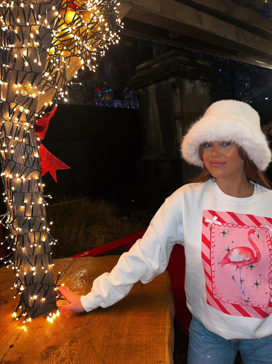 Candy Cane Flamingo Jumper